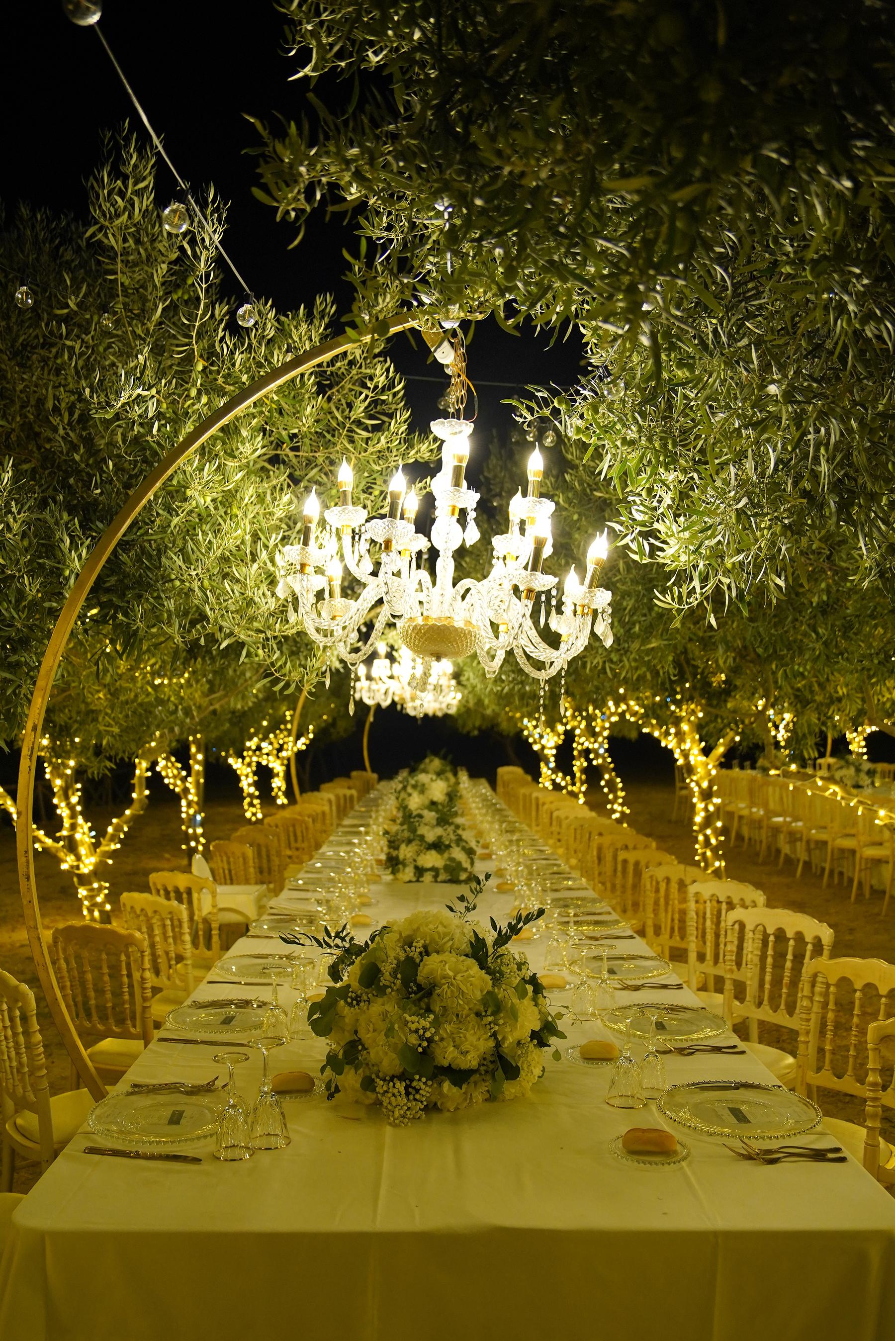 Dinner under the olive trees